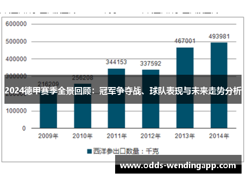 2024德甲赛季全景回顾：冠军争夺战、球队表现与未来走势分析