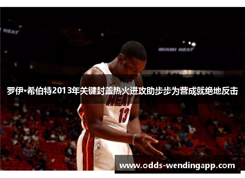 罗伊·希伯特2013年关键封盖热火进攻助步步为营成就绝地反击