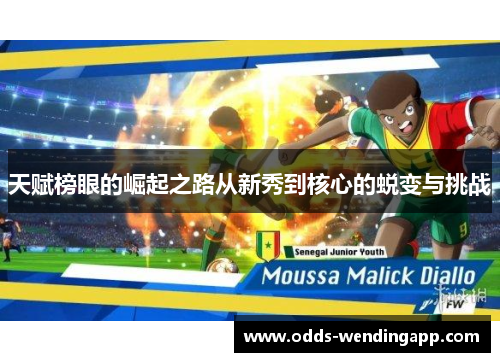 天赋榜眼的崛起之路从新秀到核心的蜕变与挑战