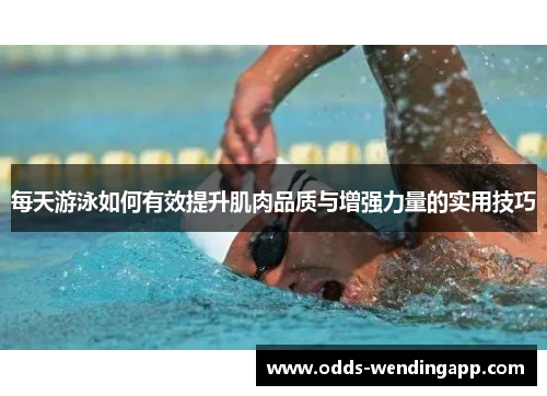 每天游泳如何有效提升肌肉品质与增强力量的实用技巧