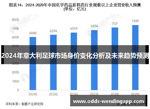 2024年意大利足球市场身价变化分析及未来趋势预测