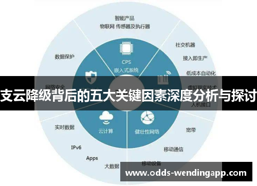 支云降级背后的五大关键因素深度分析与探讨