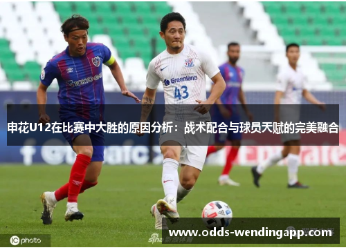 申花U12在比赛中大胜的原因分析：战术配合与球员天赋的完美融合