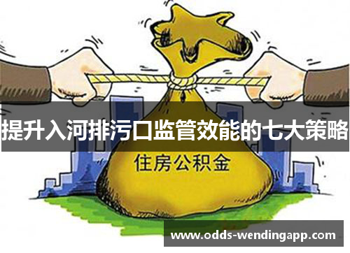 提升入河排污口监管效能的七大策略