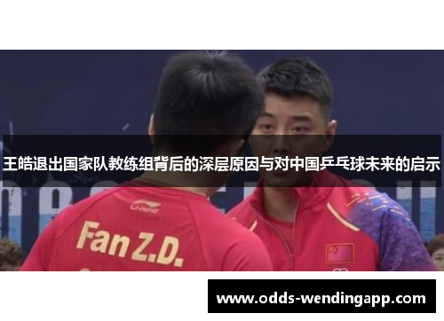 王皓退出国家队教练组背后的深层原因与对中国乒乓球未来的启示