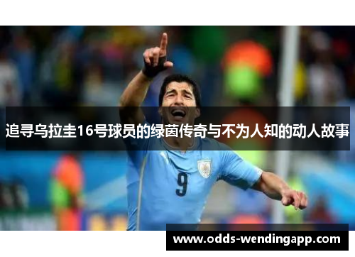 追寻乌拉圭16号球员的绿茵传奇与不为人知的动人故事